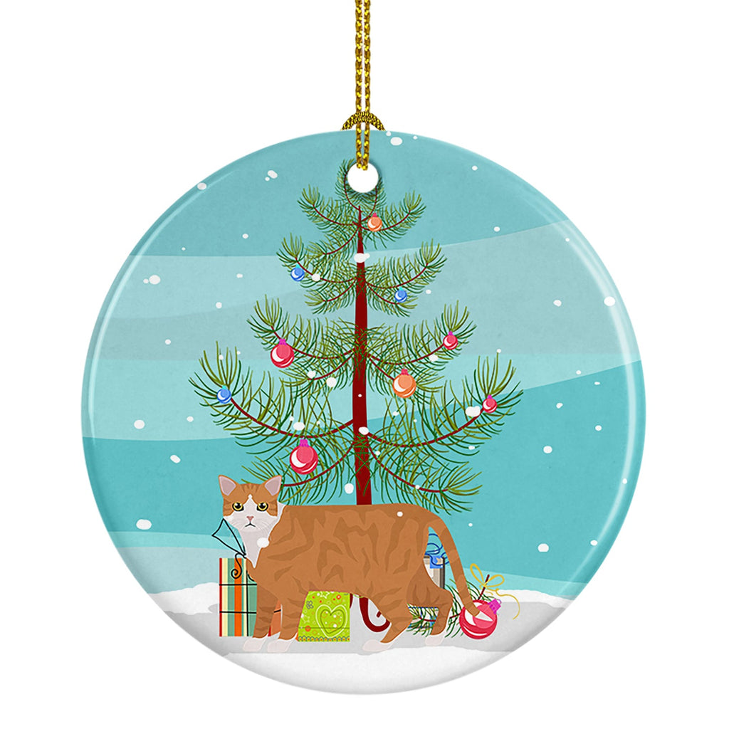 European Shorthair Cat Christmas Ceramic Ornament