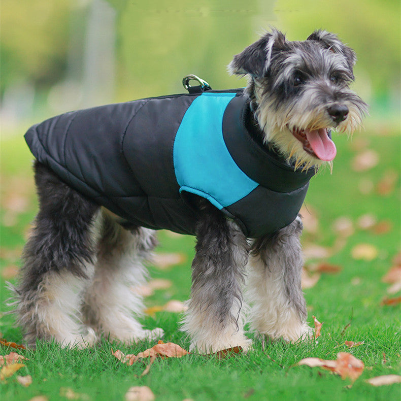 Thick Winter Pullover for Small and Large Dogs | Streetwear