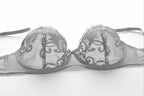 European Fashion Lingerie, Ultra-Thin Embroidered Bra Set