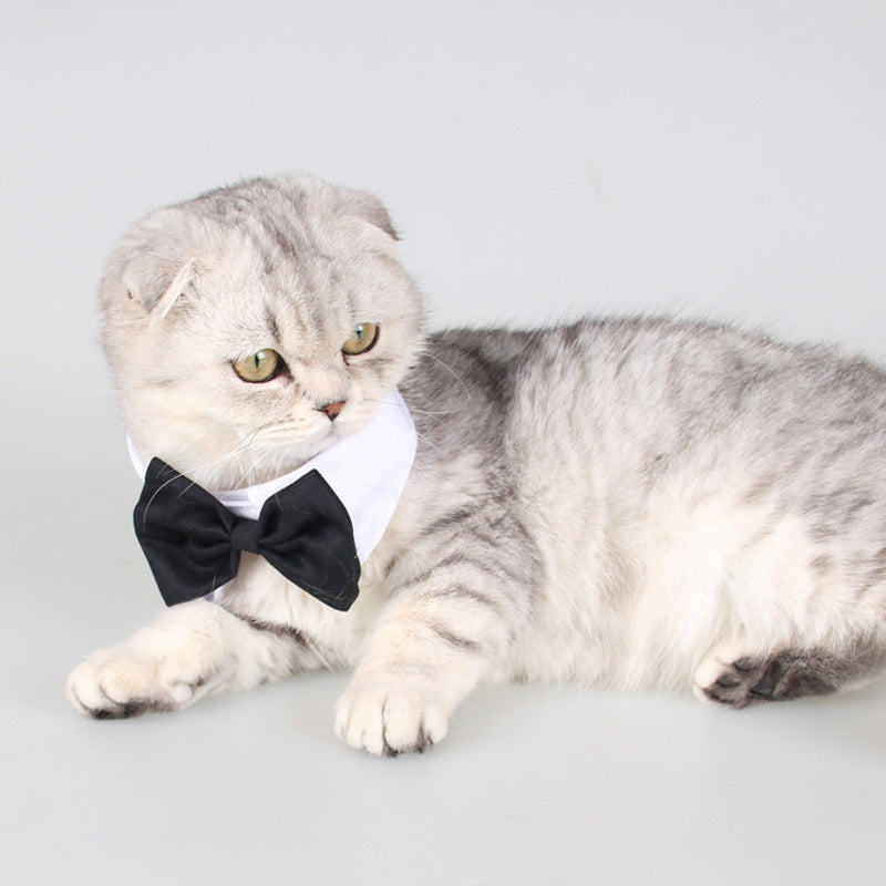 Teddy Dog Bow Tie and Scarf Collar for Small Dogs