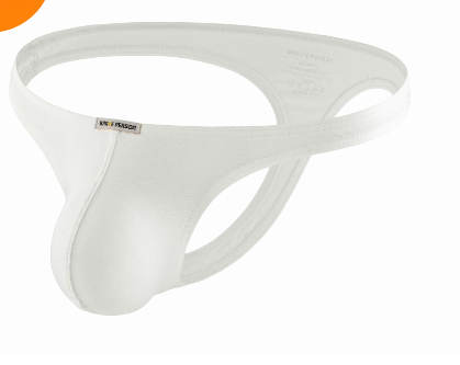 Ice Silk Mesh Briefs and Hipster Panties