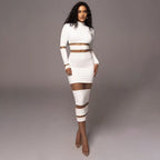 Mesh Patchwork High Waist Slim Long Turtleneck Dress