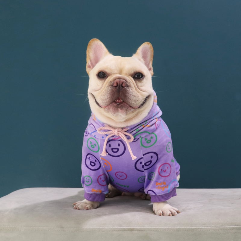 Dog Velvet Sweater for Spring and Autumn (Schnauzer)