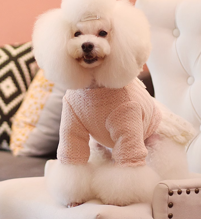 Thick Wool Knitted Love Skirt for Cute Dogs