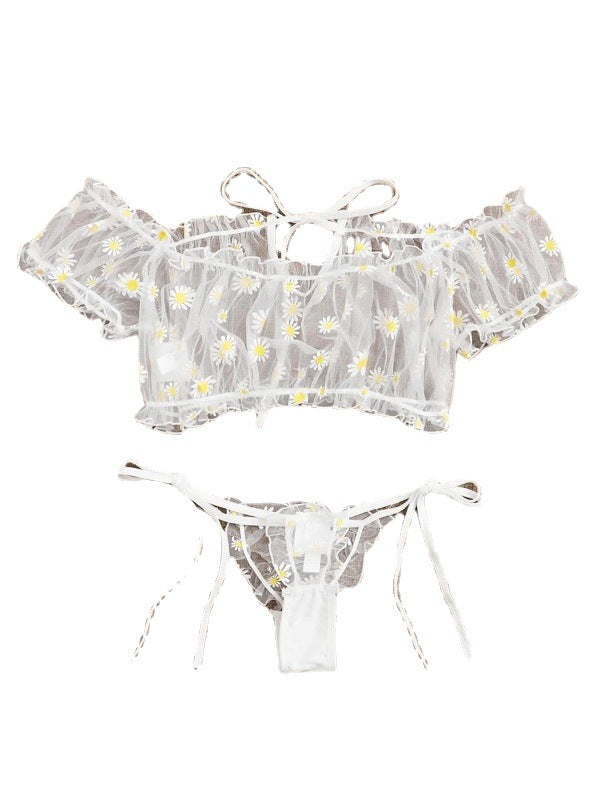 New European and American Lace Lingerie Set (2 Pieces)