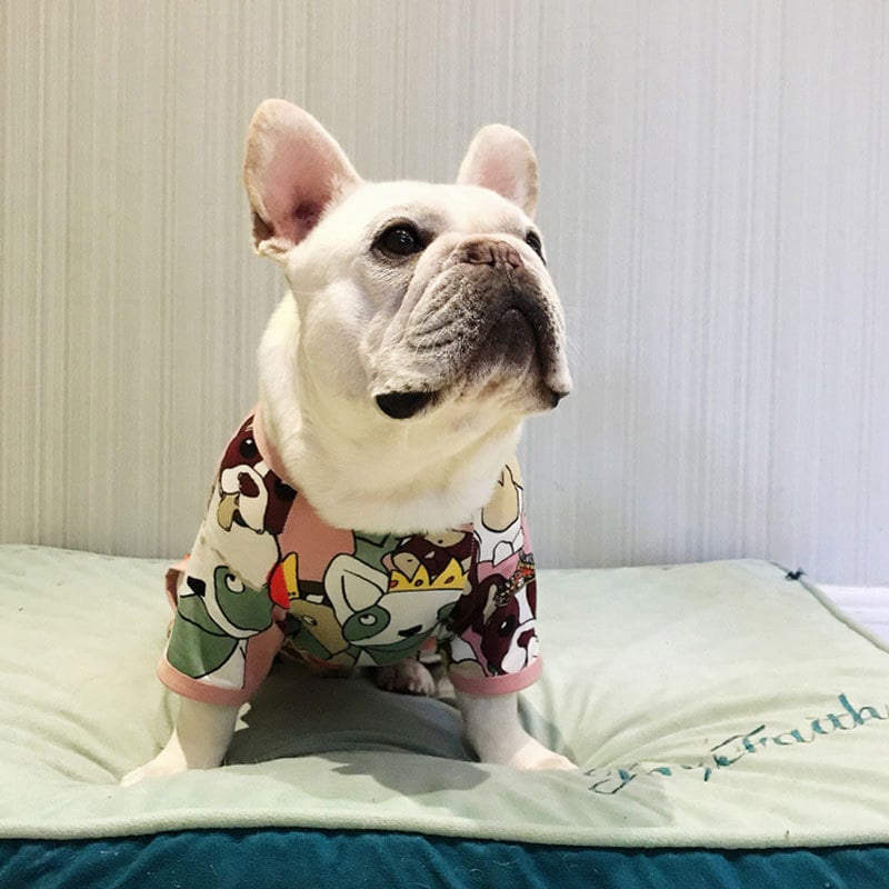 Fadou Spring/Summer Lightweight Four-Legged Sweater