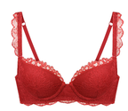 Red Zodiac Year Bra Set Combination