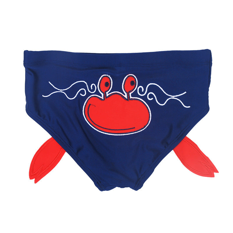Cute Embroidered Cartoon Baby Swim Trunks (1-3 Years)