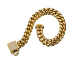 Pet Dog Collar with Stainless Steel Titanium Chain