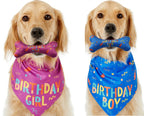 Pet Triangle Scarf and Dog Birthday Bone Toy