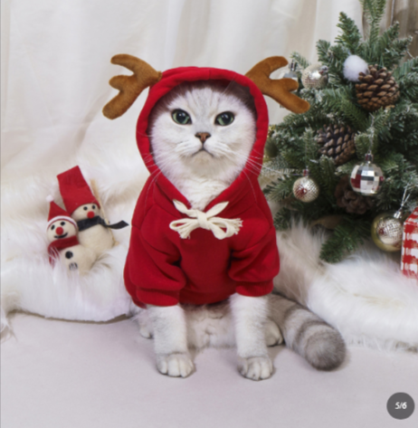 Pet Elk Christmas Costume Hoodie | Streetwear
