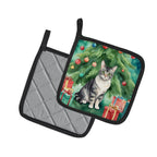 German Rex Cat By the Christmas Tree Pair of Pot Holders