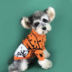 Small Dog Pullover Sweater for Spring and Autumn