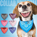 Printed Triangle Scarf and Dog Collar for Small Dogs