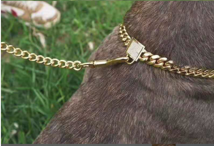 Pet Dog Collar with Stainless Steel Titanium Chain