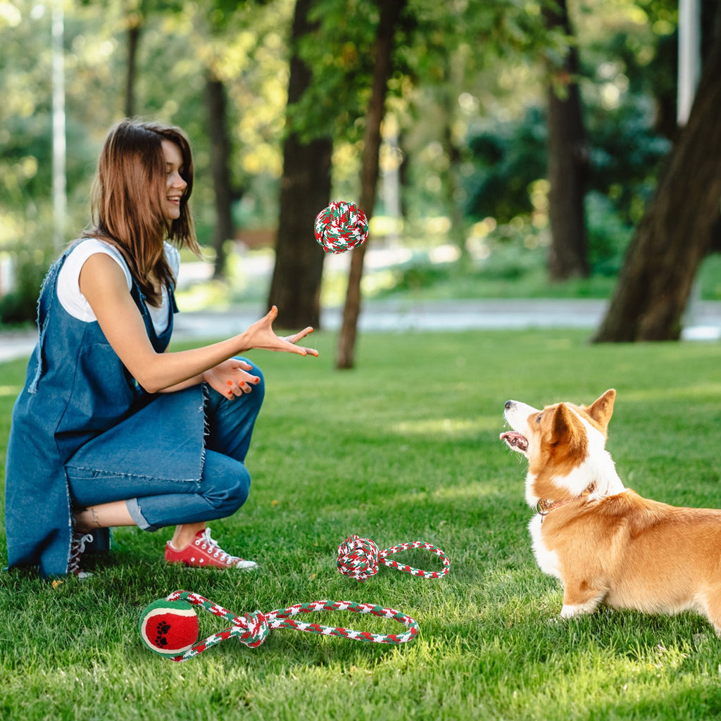 5Pcs Christmas Dog Rope Chew Toys Set
