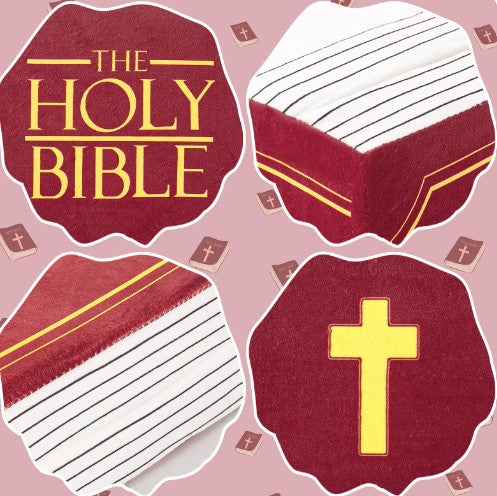 Bible Pillow | Home Decor