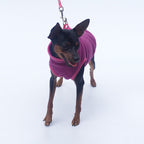 Polar Fleece Dog Clothes for Pets