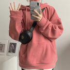 Double-Sided Thick Auli Fleece Hooded Sweatshirt | Streetwear