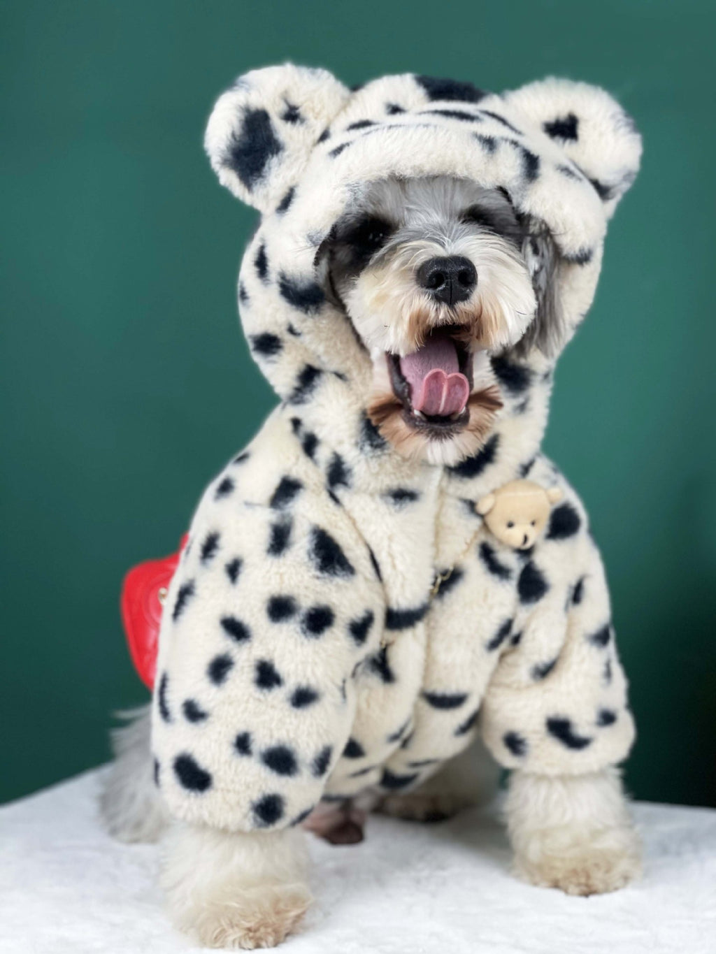 Thick Warm Spotted Plush Coat for Dogs in Autumn/Winter