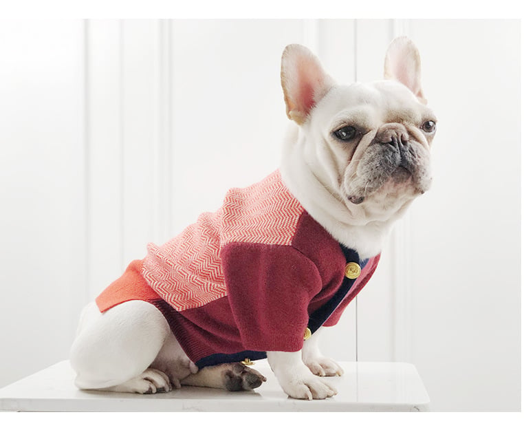 British Pet Sweater for Dogs and Cats Clothing