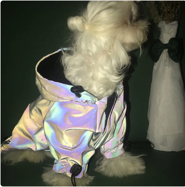 Reflective Windbreaker Hoodie for Dogs – Stylish Pet Coat