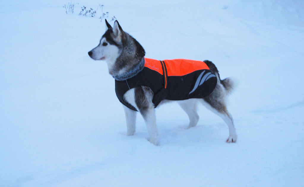 Winter Fashionable Pellet Down Jacket for Dogs
