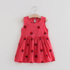 Korean Style Sleeveless Summer Dress for Girls