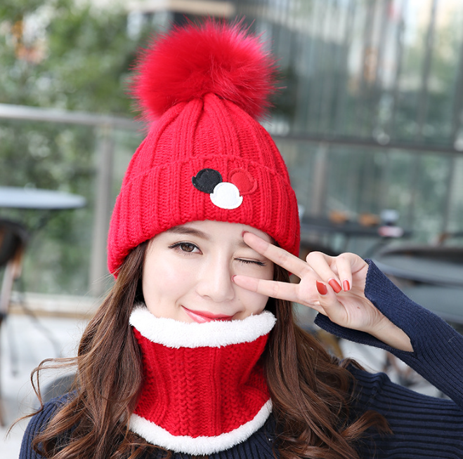 Women's Versatile Knitted Wool Ball Hat with Plush | Embroidered Cap