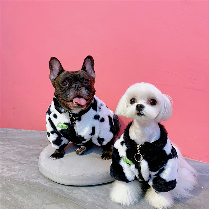 Cartoon Dog Coat for Small to Medium Pets (Warm)