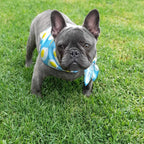 Triangle Scarf for Pets - Saliva Towel Design