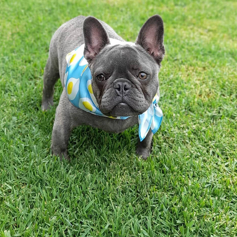 Triangle Scarf for Pets - Saliva Towel Design