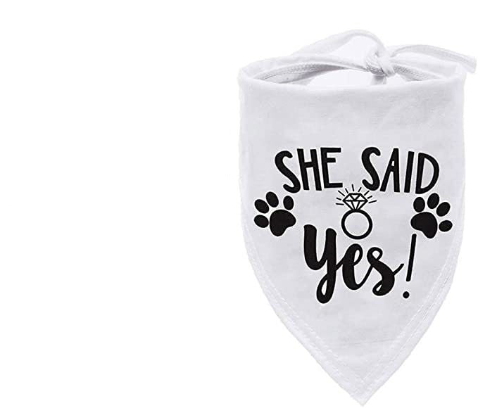 Lattice Triangle Pet Scarf and Saliva Towel Bandana