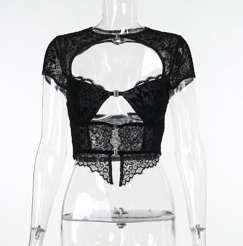 Dahlia Lace Short Sleeve Cutout Crop Top