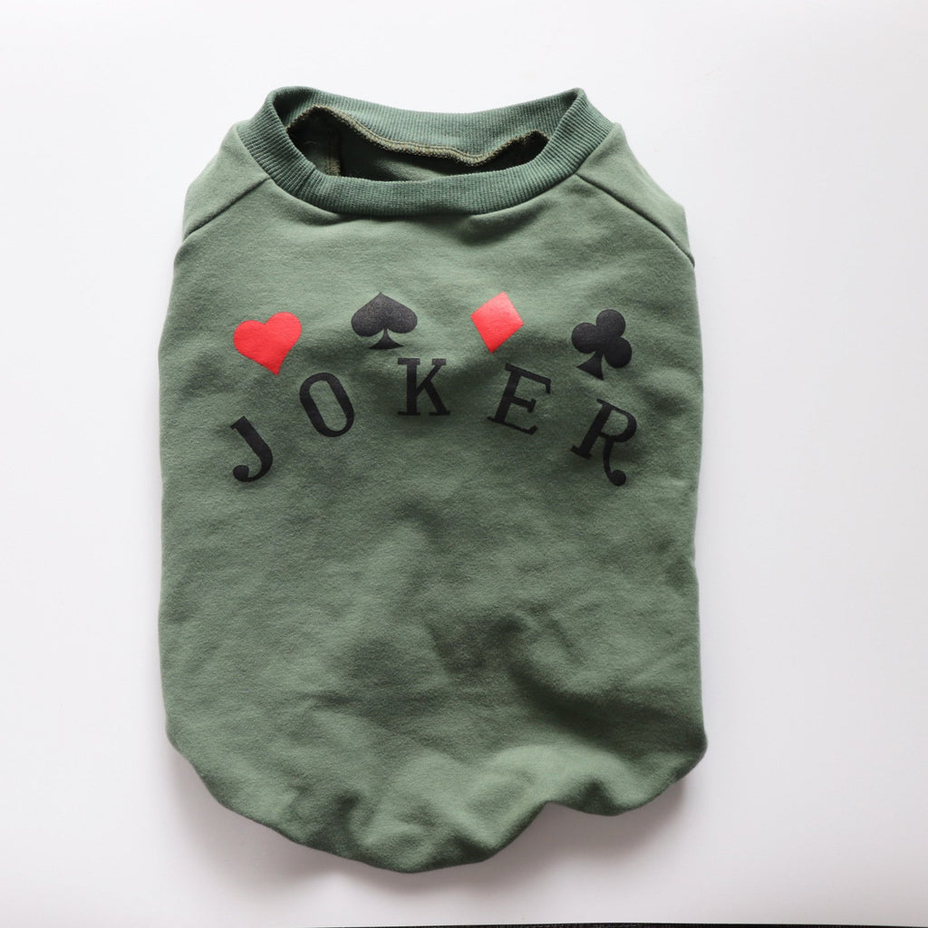 Schnauzer Teddy Dog Sweatshirt for Small Pets