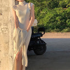 Women's Fashion Wool Turtleneck Dress