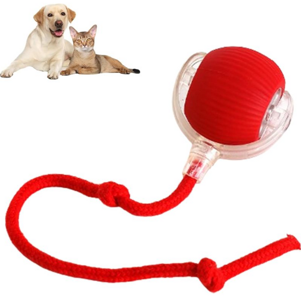 Interactive Smart Rolling Pet Ball, USB-C Rechargeable Automatic Moving Cat & Dog Toy with LED Light and Rope Tail
