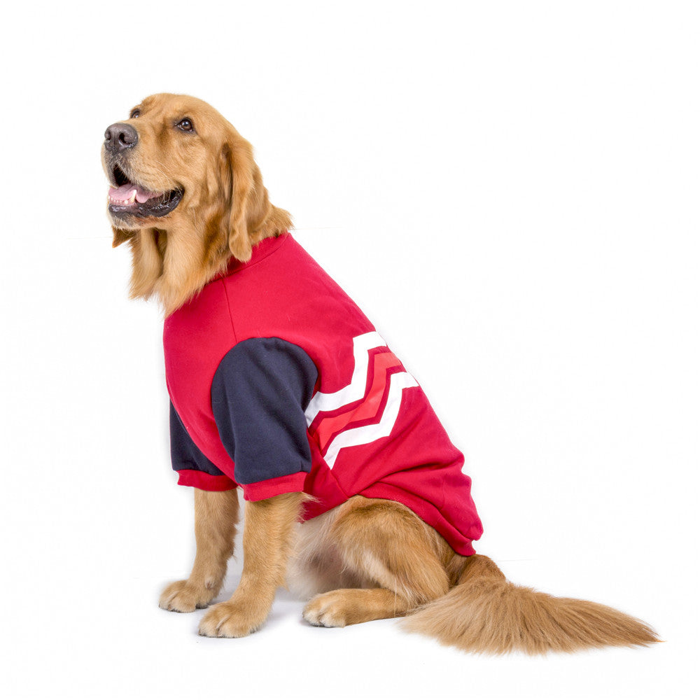 Wavy Two-Legged Hoodie for Dogs