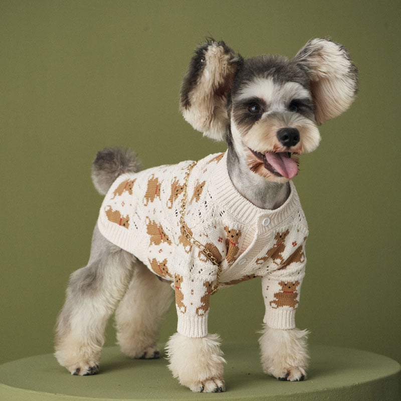 VIP Cute Pomeranian Pet Jacket by Dischnarui