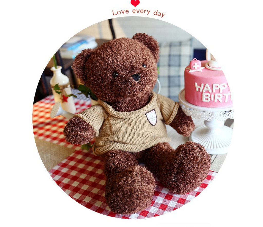 Teddy Bear Sweater Cartoon Plush Toy Doll