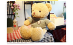 Teddy Bear Sweater Cartoon Plush Toy Doll