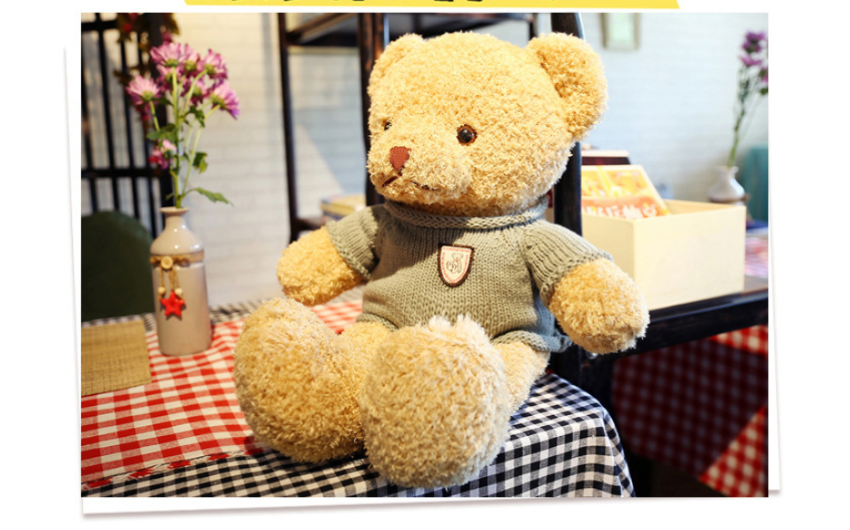 Teddy Bear Sweater Cartoon Plush Toy Doll