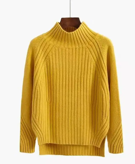 Turtleneck Pullover Long-Sleeved Sweater | Streetwear