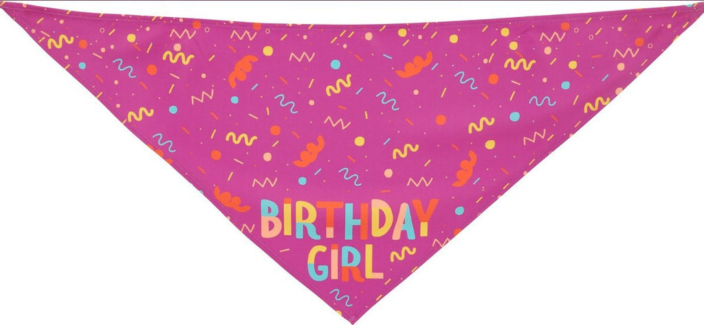 Pet Triangle Scarf and Dog Birthday Bone Toy