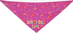 Pet Triangle Scarf and Dog Birthday Bone Toy