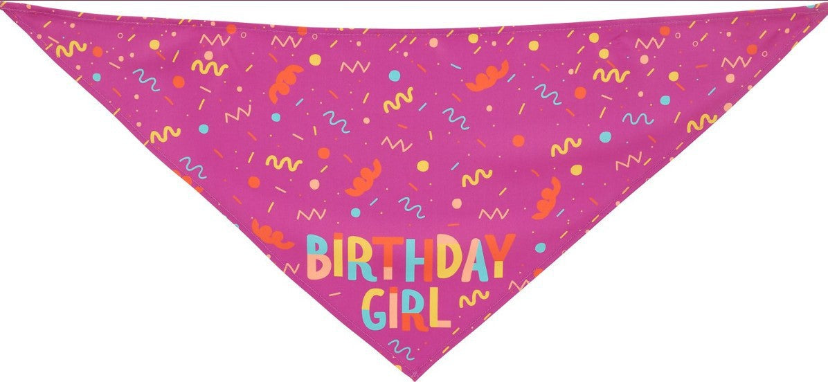 Pet Triangle Scarf and Dog Birthday Bone Toy