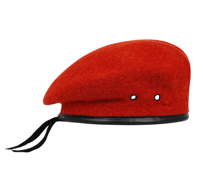 Pure Wool Painter Cap for Autumn and Winter | Embroidered Cap