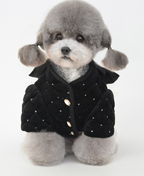 New Pet Cotton Coat for Warmth and Comfort