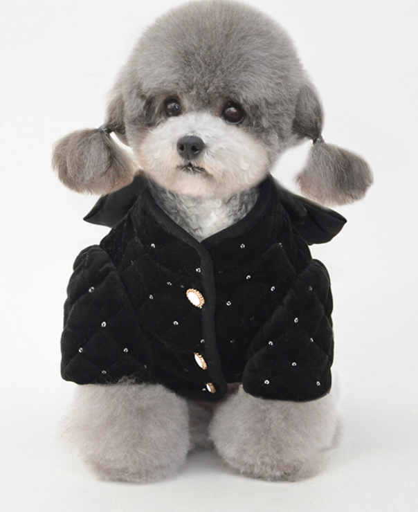 New Pet Cotton Coat for Warmth and Comfort