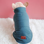 Thickened Velvet Dog Vest - Warm Winter Coat for Pets